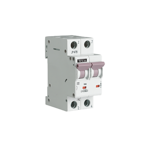 Disjoncteur TC 2P 32A 10kA courbe D