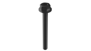 Vis de fixation M6x55mm noire Esdec Flatfix Fusion